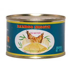 Globe Bamboo Shoots Halves 230g / 竹笋块 230克