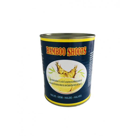 Globe Bamboo Shoots Halves 800g / 地球牌竹笋块 800g